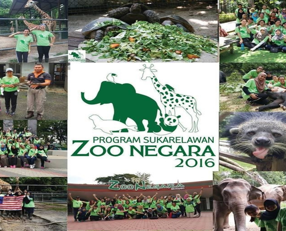 حديقة الحيوانات في ماليزيا 